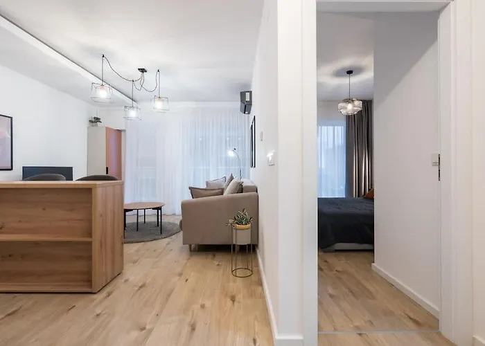 Belvedere Comfort Zone *