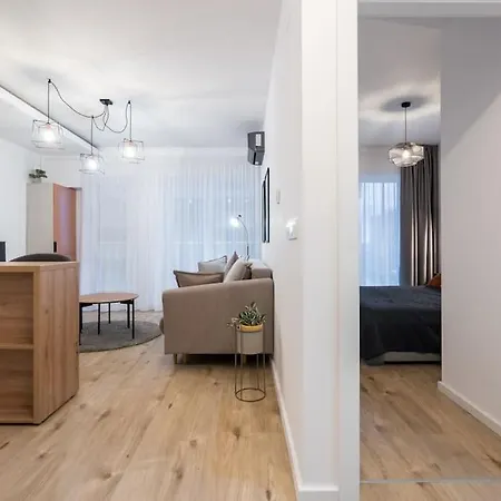 Belvedere Comfort Zone *